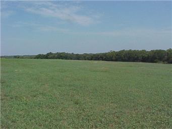 169 Hwy & 207th Street, Spring Hill, KS 66083