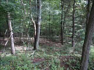 Baker Road, Beekman, NY 12533
